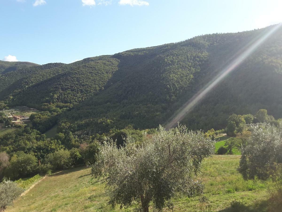 Villa La Fattoria Di Mamma Ro' Narni Exterior foto